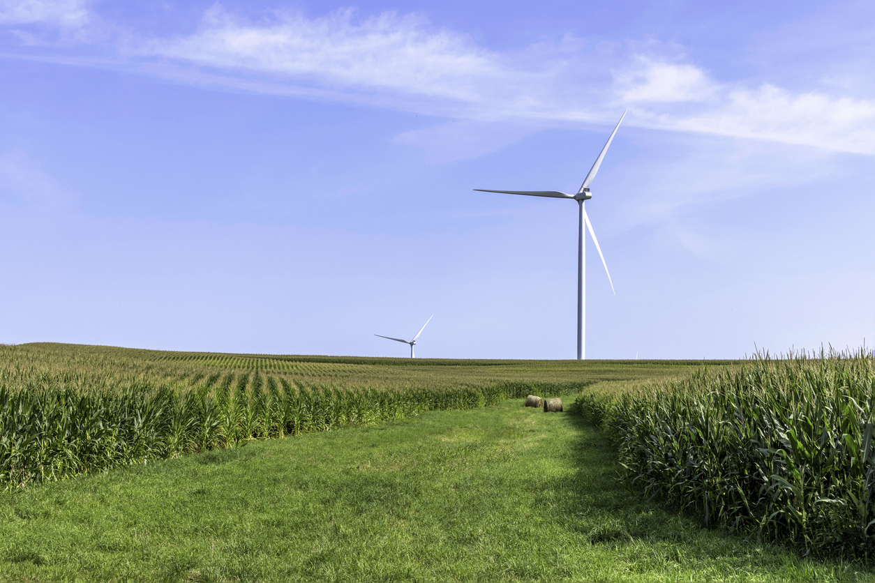 Cornfield Wind Turbine